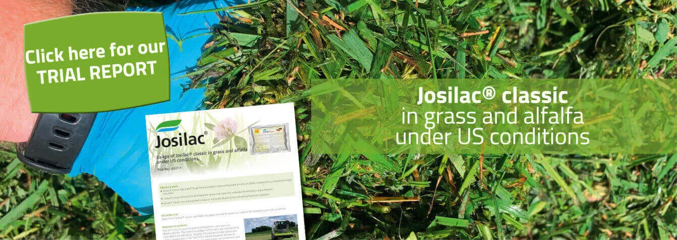 Josilac classic
